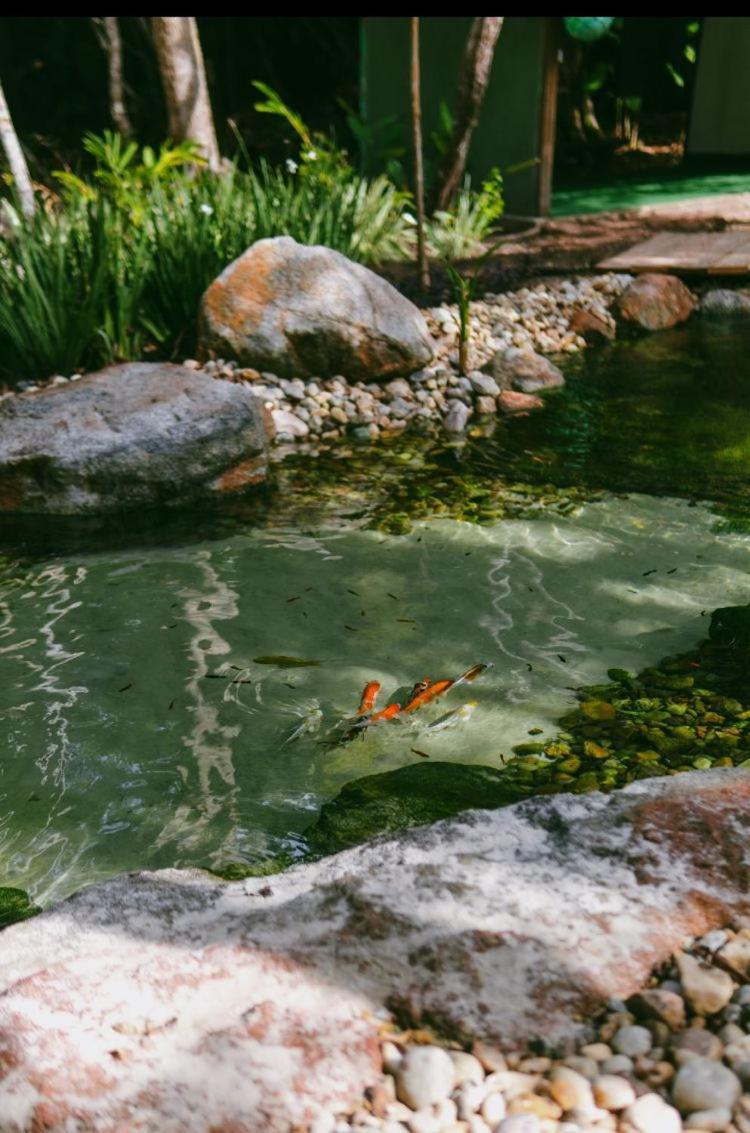 Boa Village- Com Piscina Natural- De Algodoes *